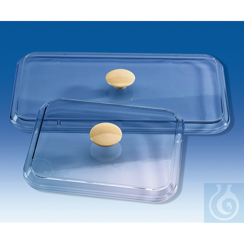 Lid, PS, 190 x 150 mm, for instrument tray No. 72098