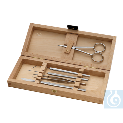 Microscopy set in a wooden, 5 pcs.