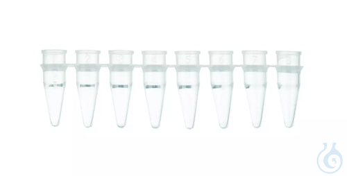 PCR Strips of 8 Tubes, 8 x 0.2 ml, without caps, for separate cap strips