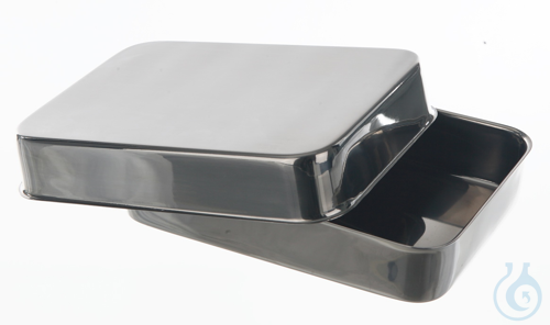 Instruments tray with lid, LxWxH=270x210x40mm