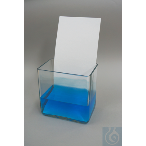Chromatography paper, 580x600 mm