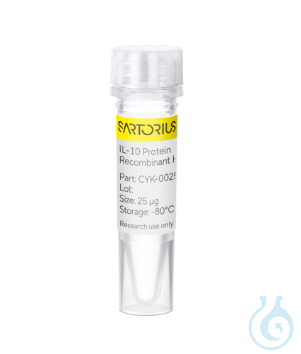 Recombinant Human Interleukin-10