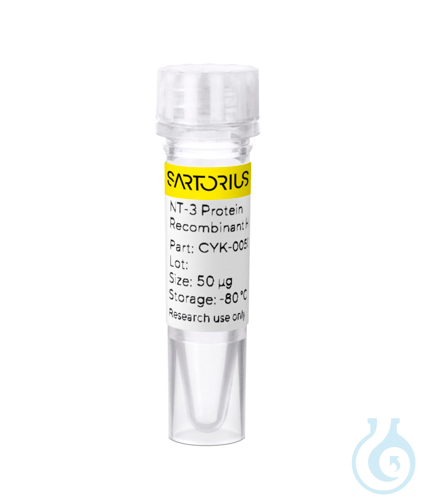 Recombinant human NT-3 protein 0.05mg
