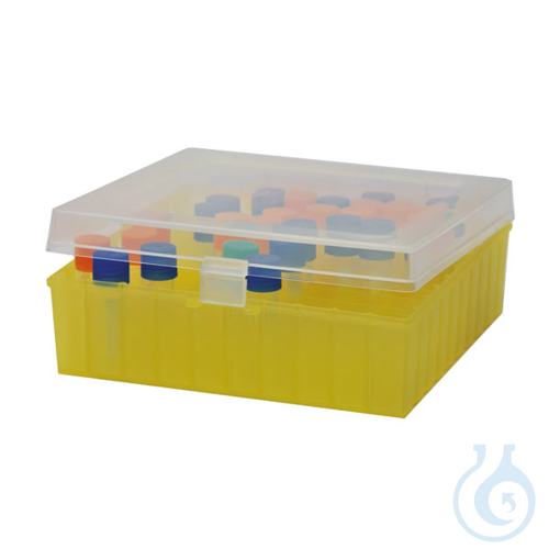 Freezer box with hinged lid, 10 x 10, PP, natural/yellow