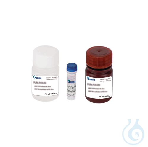 Luciferase Reporter Assay Kit, 100 rxn