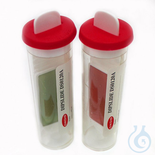 Dip Slide Trypton Soya Agar (Caso) / Malz Extrakt mit Chloramphenicol, 10 pc/PAK
