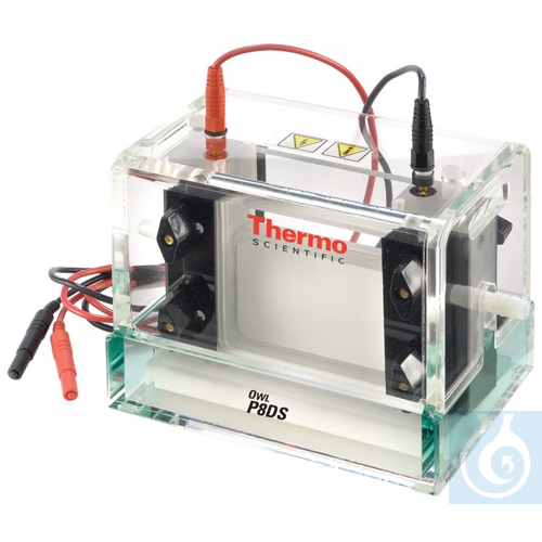 Owl&trade; Dual-Gel Vertical Electrophoresis Systems P10DS Complete System -